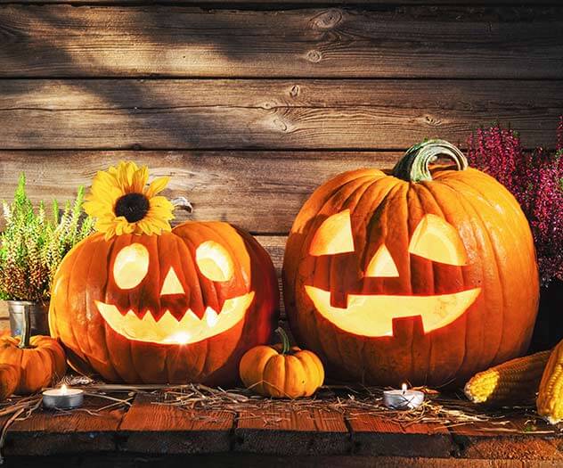 Jigsaw Puzzle Collection HD